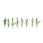 0595553 Jtt Scenery Products Flowering Plants Corn Stalks 734560955530