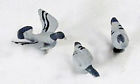 Fra1212 1212 Arttista 3 Pigeons O