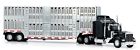 15243 New Ray Toys O