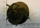 175-82 Lionel Crane Base Assembly