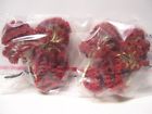 279-red Menards The Trees Red Color Nib