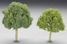 32213 Bachmann Two Oak Trees 022899322131