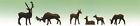 6177 Model Power Power-animals Deer Pkg 6 O 037135061774