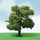 Jtt92410 92410 Jtt Scenery Pro-elite Sycamore