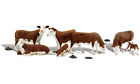 A2767 Cows Hereford Figures - -- Woodland Scenics Accents Scenic