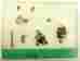 Gs34 Kramer Fireman At Fire 2 Hydrant Figure Set
