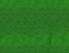 John Bull Trains 10 Medium Grass Scenery Sheets O Scale Landscaping Structures 784672363600