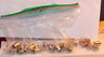 L1445 Other Than Lionel Lamp Bulbs For And Makers Model Clear
