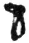 Tcp7013 Model Detail Bracket On30 Wax Upper Brass Brake Lost Staff Railroad