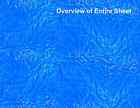 Scenery Sheets 5 Light Blue Water O Scale Landscaping Structures Background 784672362719