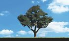 Tr3521 Woodland Scenics Cool Shade 724771035213