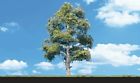 Tr3539 Woodland Scenics Waters Edge 724771035398