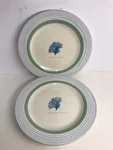 Pfaltzgraff Beachcomber Salad Plates Stoney Coral Pattern 8 1/2 Set Of. Fixed Price $26.95.