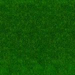Scale Grass Model Train Scenery Sheets Five 6"X6" Self-adhesive. Fixed Price $16.99.