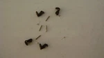 Lionel 480-8 Knuckle, 480-16 Spring & TC-23 Rivet, (4 0F Each). Fixed Price $9.95.