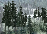 Woodland Scenics TR1582 Value Trees Conifer 6-8IN. (12). Fixed Price $37.99.