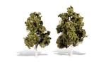 Woodland Scenics Classic Trees Built Waters Edge 6 To 7IN Tall PKG(2) TR3537. Fixed Price $20.98.