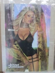 Jena Jameson 2004 Club Jenna Hot Girl Man Cave Car Garage Poster 16566. Fixed Price $39.97.