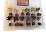 New Open Box Handcrafted Karmapledge Of Life Set 12 Handmade Trees. Fixed Price $25.00.