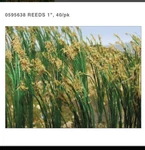 Jtt Scenery 95638 Reed Plants 1" Tall Ho Scale 40/PK. Fixed Price $9.40.