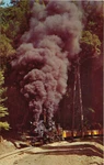Postcard Tuolumne Heisler & Dixiana Shay Trains, Felton, California. Fixed Price $7.95.