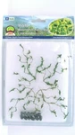 Mrc Jtt Scenery Watermelon Patch 4/PK 2-3/4" Length Flowering Plants 95576. Fixed Price $8.39.