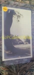 Hhg Vintage Photograph Spencer Lionel Adams Tree Front Frame Building. Fixed Price $12.82.