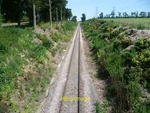 Photo 12X8 Railway Line Seen From Buckland Road Passenger Trains Ran On Th C2013. Fixed Price $8.07.