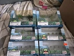 Jtt Scenery Palm Trees Model Train. Fixed Price $30.00.