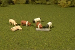 Bachmann Pigs - O Scale. Fixed Price $16.00.