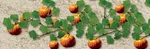 Jtt Scenery Products 95532 2-1/2'' Pumpkins (pack Of 6). Fixed Price $11.15.
