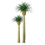 Jtt Scenery Products 94352 Z 1.5" Phoenix Palm Tree (pack Of 6). Fixed Price $9.99.