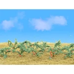 Jtt Tomatoes 1-.5IN PKG(12). Fixed Price $14.98.