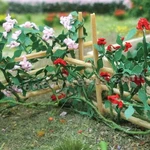 Free Shipping Mp Scenery 30 Climbing Roses Scale Railroad Layout. Fixed Price $71.90.