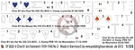 Peddinghaus 1/35 Char B1 Bis French Heavy Tank Markings NO.2 (4 Versions) 2625. Fixed Price $18.23.
