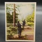 1930S Military Telephone Line Construction Forest Tobacco Cigarette Card. Fixed Price $11.99.