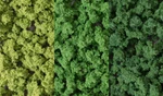 Woodland Scenics TR1103 Deciduous Tree Kit, Large (7). Fixed Price $19.99.