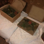 Lionel Standard Gauge Prewar Plot Trees Accessories Wide Scale Parts. Fixed Price $70.00.