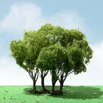 Jtt Scenery Products Ho Scale Elite Trees: Privet 3" To 3.5 0592303. Fixed Price $25.61.