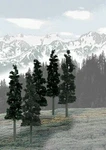 Woodland Scenics 1582 All Scale Coniferous Tree Pack 6 To 8" (12). Fixed Price $36.99.