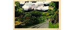 Asheville Nc Moonlight Mountain Road Scenic Postcard 1930S Asphalt Landscape. Fixed Price $7.99.
