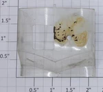 Lionel 2023-82 Windsheild / Window Shell (10). Fixed Price $35.00.