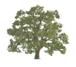 Jtt Scenery Products 96043 5" Live Oak Tree. Fixed Price $16.50.