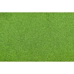 Jtt Scenery Products Scale Grass Mat, 50" X 34" Light Green 0595401. Fixed Price $25.51.