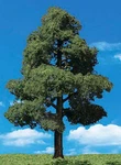 Woodland Scenics TR3518 N/ho Sun Kissed 7" - 8" Train Scenery. Fixed Price $16.85.