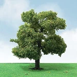 Jtt Sycamore Tree - Scale Model Railroad #92410. Fixed Price $24.62.