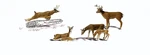 Woodland Scenics 2738 Scale Accents White-tail Deer PKG(6). Fixed Price $26.99.