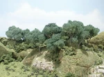 Woodland Scenics TK28 Hardwood Forest Trees 2-4 24 Pak-mint Box. Fixed Price $19.99.
