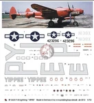 Peddinghaus 1/72 P-38J-20-LO Lightning Yippee Markings Special 5000TH Plane 2623. Fixed Price $9.73.