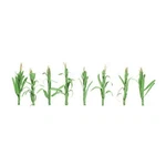 Flowering Plants, Corn Stalks, 2". Fixed Price $19.17.